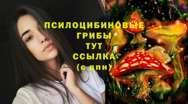 СК Алзамай