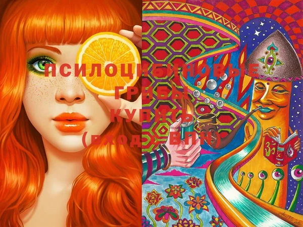 марки lsd Алексеевка